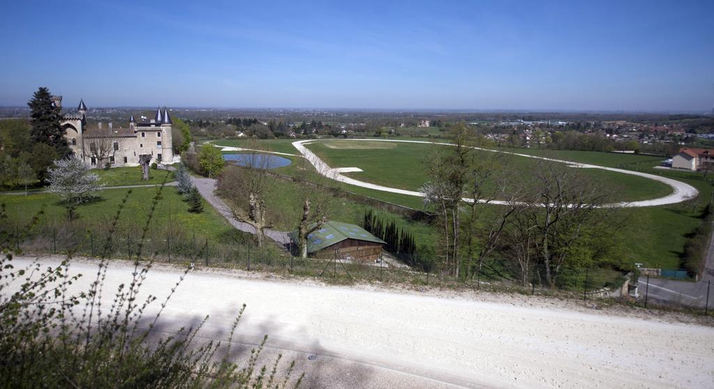 הוילה Villemoirieu Domaine De Bienassis מראה חיצוני תמונה